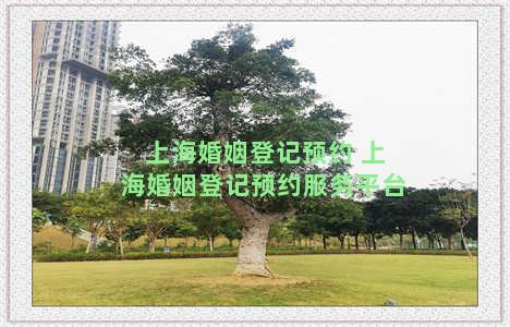 上海婚姻登记预约 上海婚姻登记预约服务平台